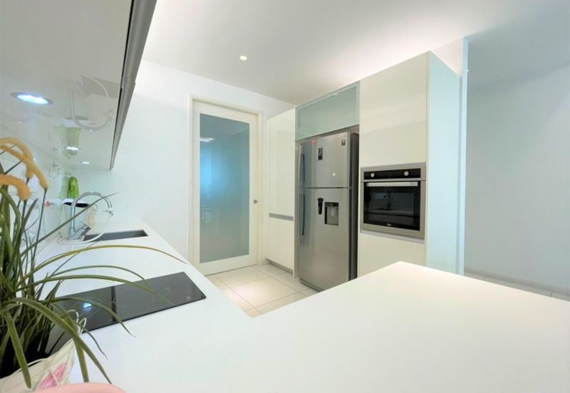 The Light Collection I