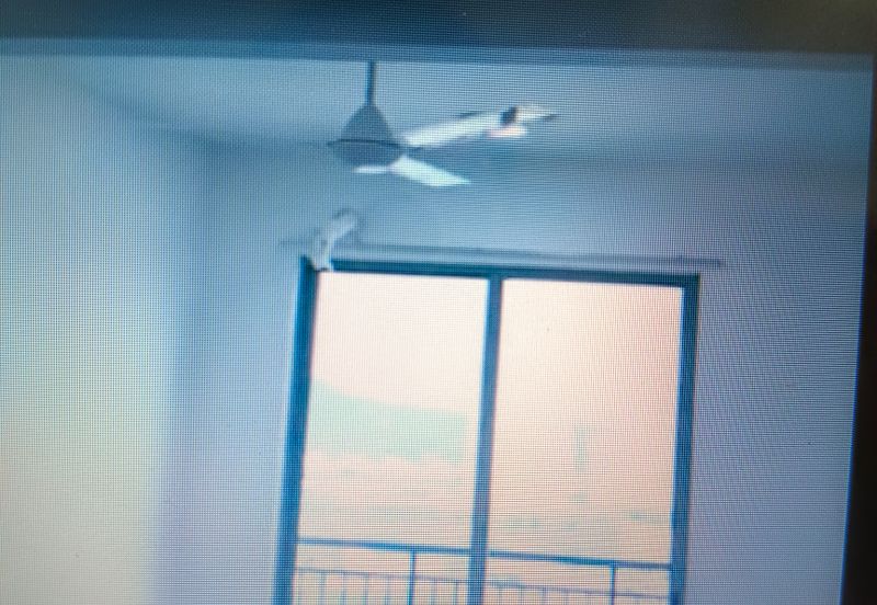 Sensasi @ Utropolis Condo at Batu Kawan nearby Penang 2nd Bridge