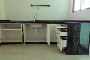 Tree Sparina @ Ideal Vision Park