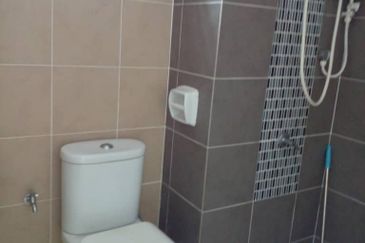 Tree Sparina @ Ideal Vision Park