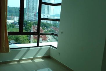 Tree Sparina @ Ideal Vision Park