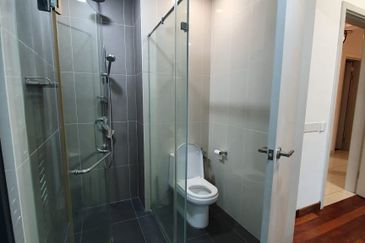 The Light Collection II