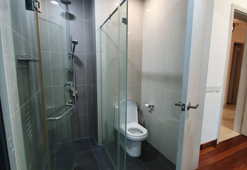 The Light Collection II