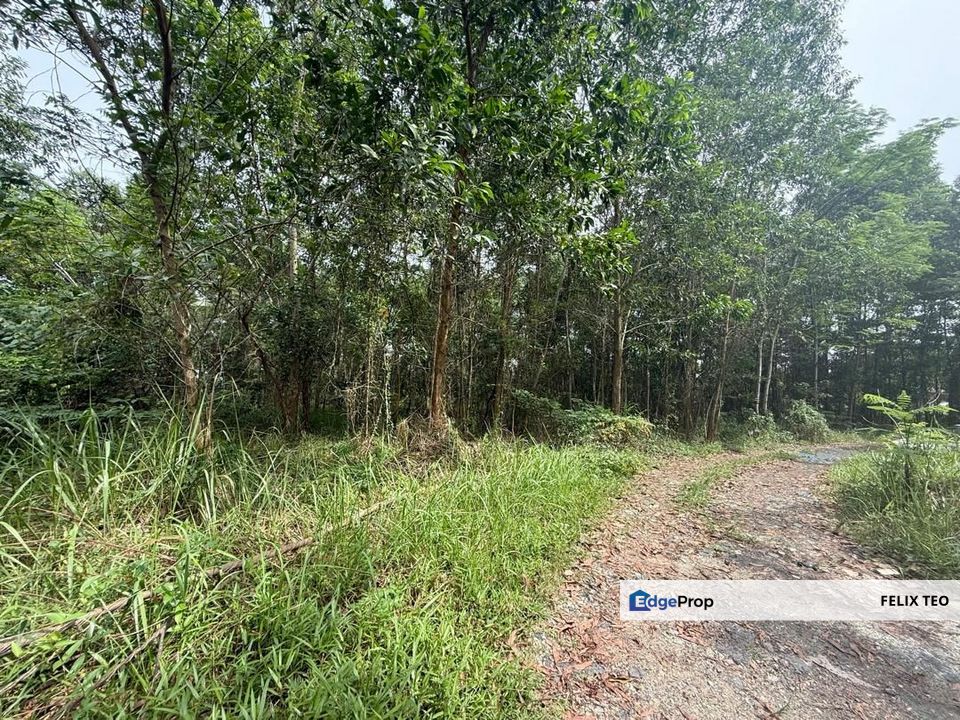 🔥 Flat Light Industrial Land for Sale – Behind Pandan City | RM80psf Only! 🔥, Johor, Johor Bahru