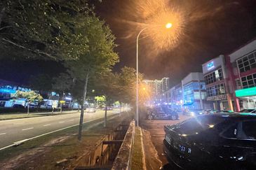 Taman Mount Austin Commercial