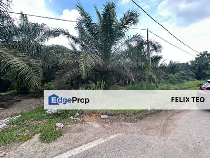 Seelong Agricultural Land For Sale, Johor, Senai