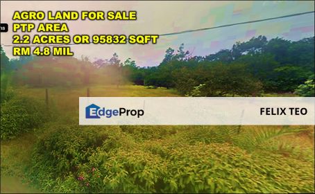 Tanjong Kupang Agriculture Land For Sale, Johor, Gelang Patah