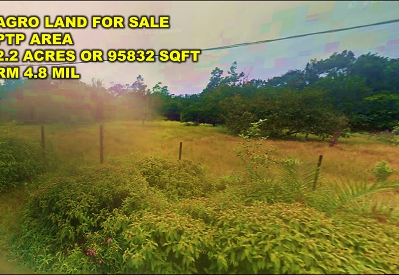 Tanjong Kupang Agriculture Land For Sale