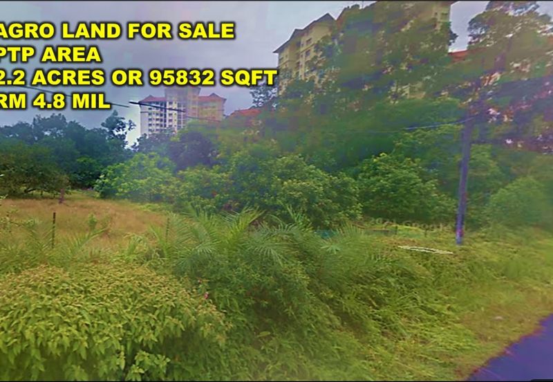 Tanjong Kupang Agriculture Land For Sale