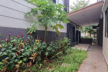 Jelutong Heights