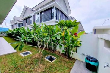 Reesia Elmina Garden