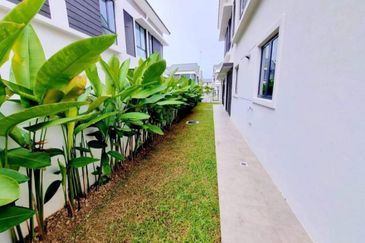 Reesia Elmina Garden