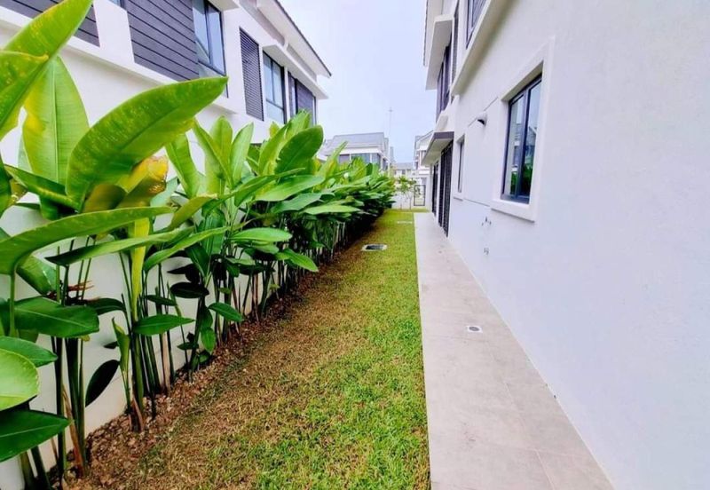 Reesia Elmina Garden