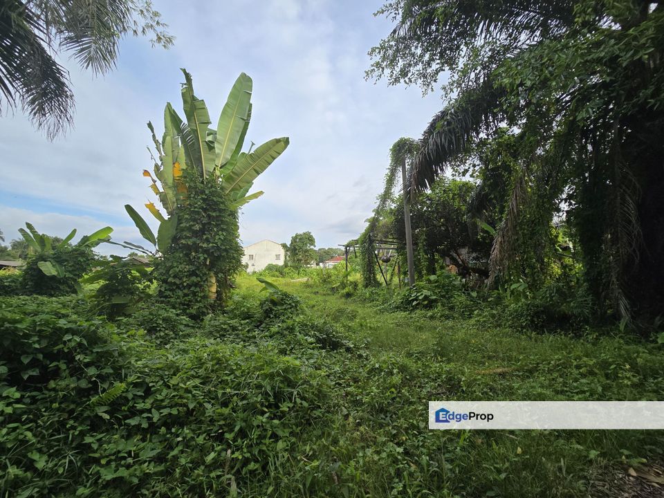 Residential Land Jalan Kapar Klang, Selangor, Kapar 