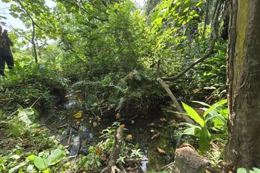 Telok Panglima Garang