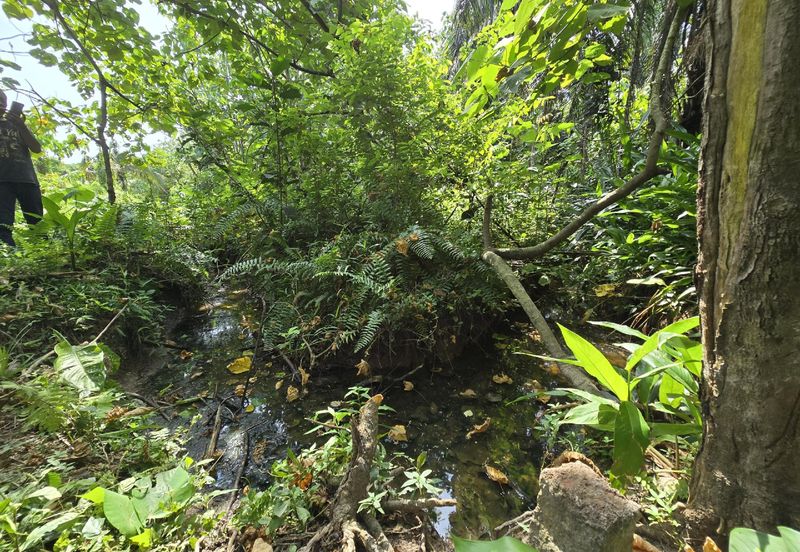 Telok Panglima Garang