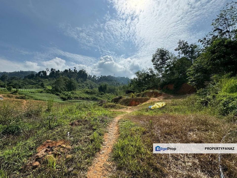 Agricultural Land Janda Baik Bentong, Pahang, Bentong