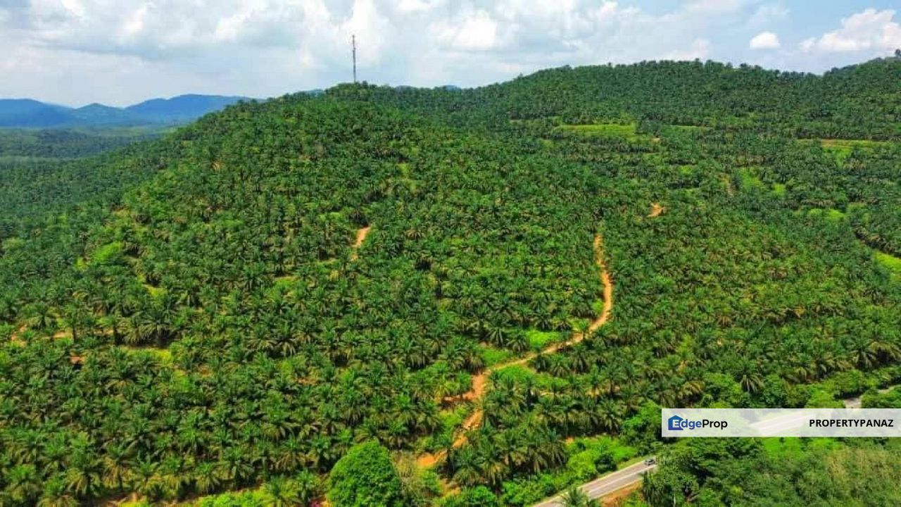 Palm Oil Land Kuala Pilah For Sale, Negeri Sembilan, Kuala Pilah
