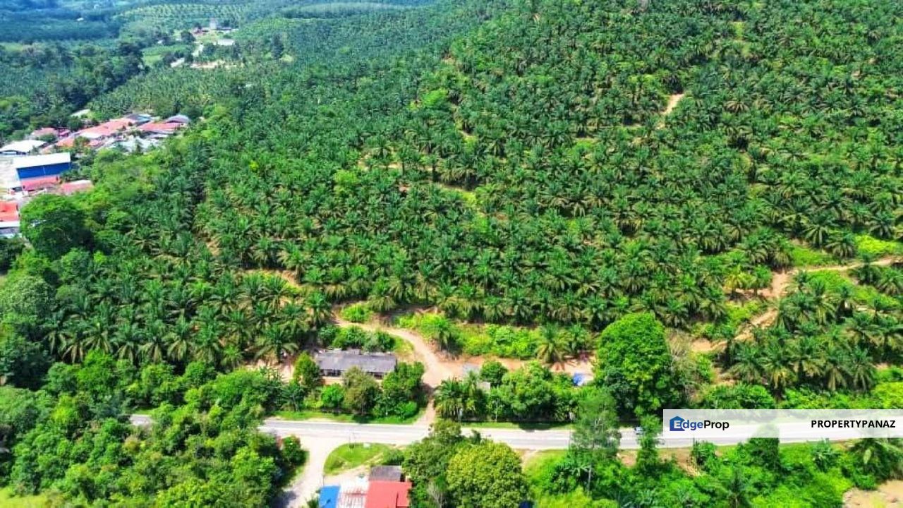 Palm Oil Land Kuala Pilah For Sale, Negeri Sembilan, Kuala Pilah