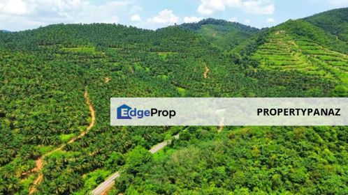 Palm Oil Land Kuala Pilah For Sale, Negeri Sembilan, Kuala Pilah