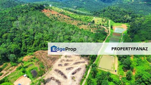 Agricultural Land Kuala Pilah Negeri Sembilan, Negeri Sembilan, Kuala Pilah