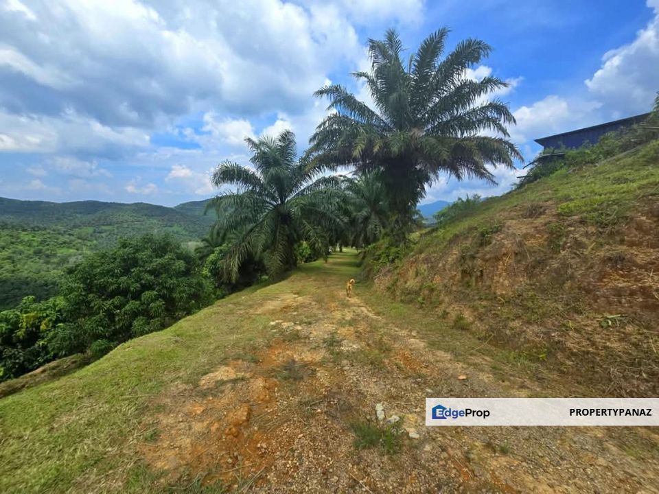 Agricultural Land Kuala Pilah Negeri Sembilan, Negeri Sembilan, Kuala Pilah