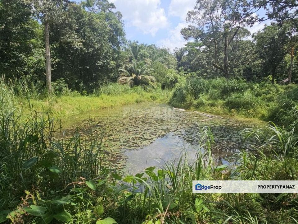 Agricultural Land Sungai Lui Hulu Langat, Selangor, Hulu Langat