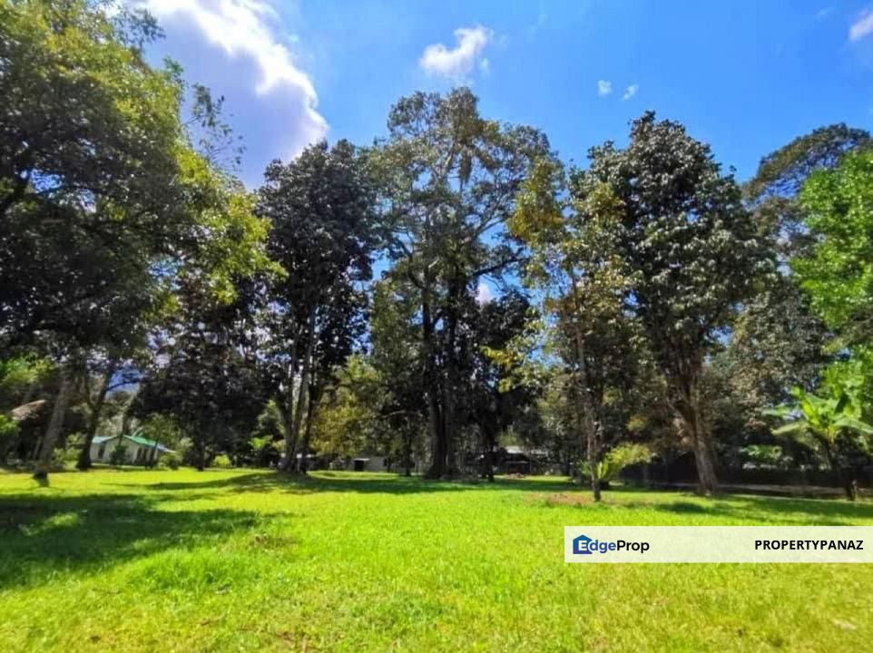 Durian Orchard Farm Sungai Lui Hulu Langat, Selangor, Hulu Langat