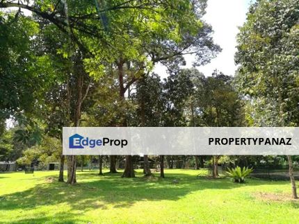 Durian Orchard Farm Sungai Lui Hulu Langat, Selangor, Hulu Langat