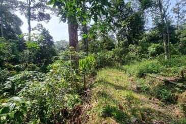 Kampung Kuala Perdek