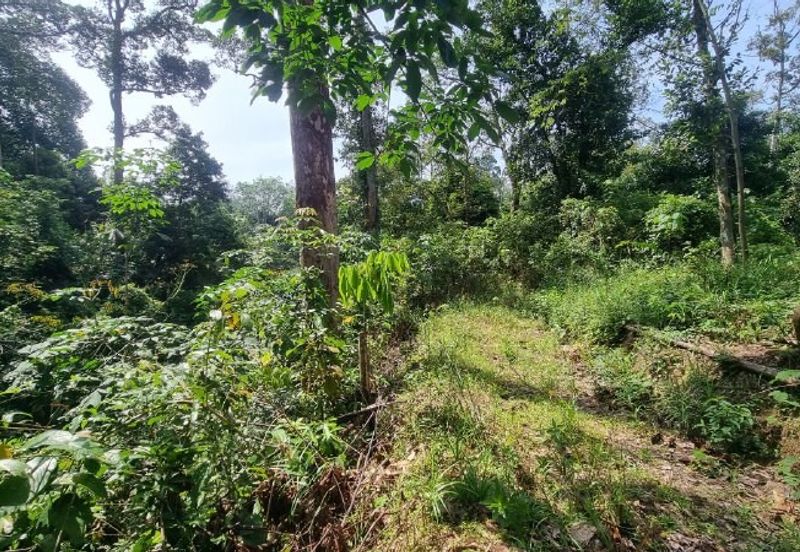 Kampung Kuala Perdek