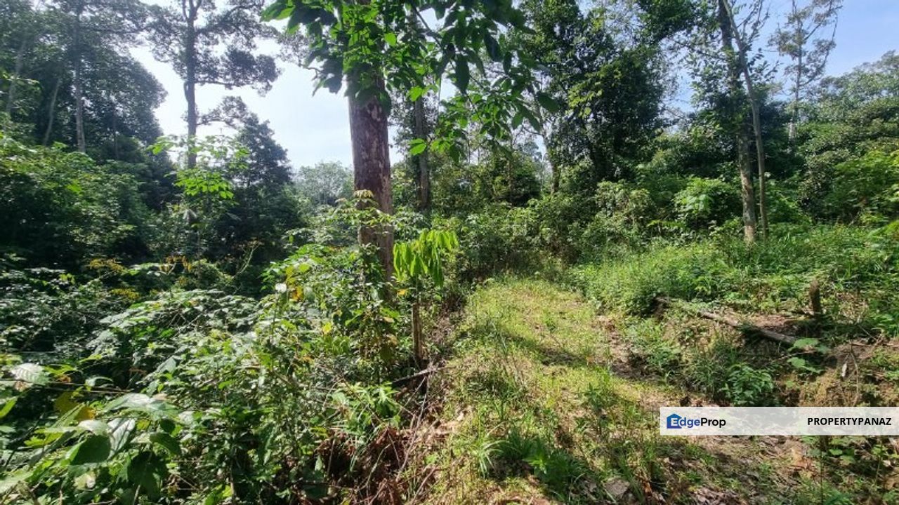 Agricultural Land Kampung Kuala Perdek Hulu Langat, Selangor, Hulu Langat