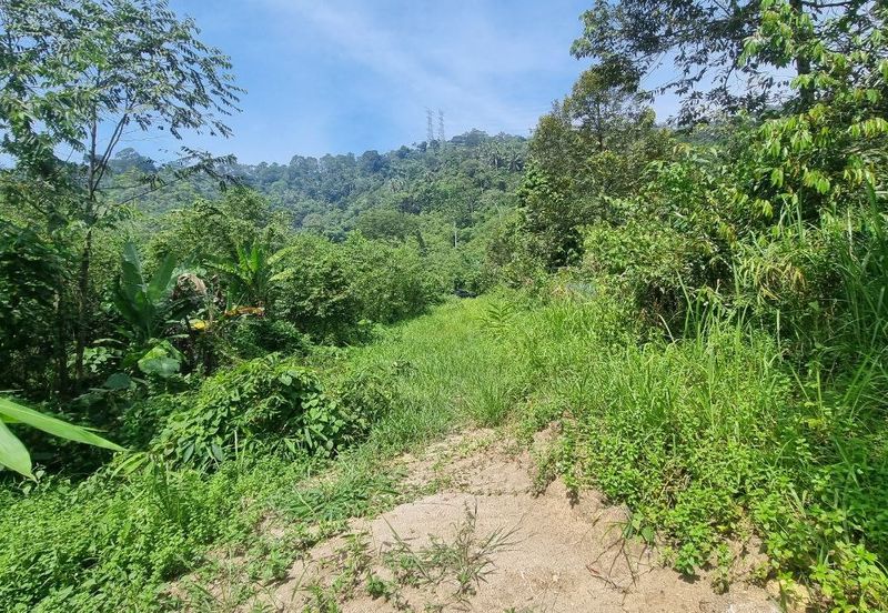 Kampung Kuala Perdek