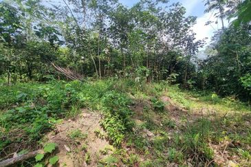 Kampung Kuala Perdek