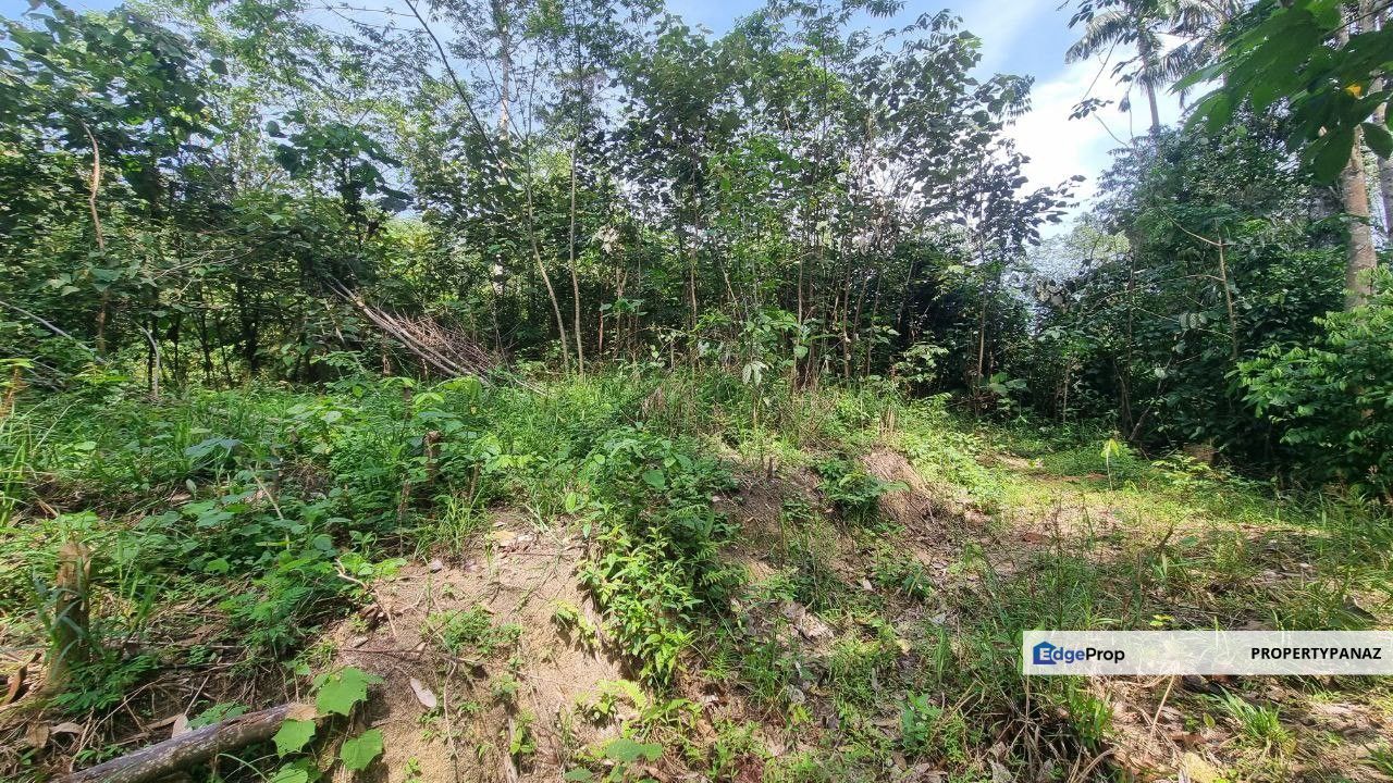 Agricultural Land Kampung Kuala Perdek Hulu Langat, Selangor, Hulu Langat