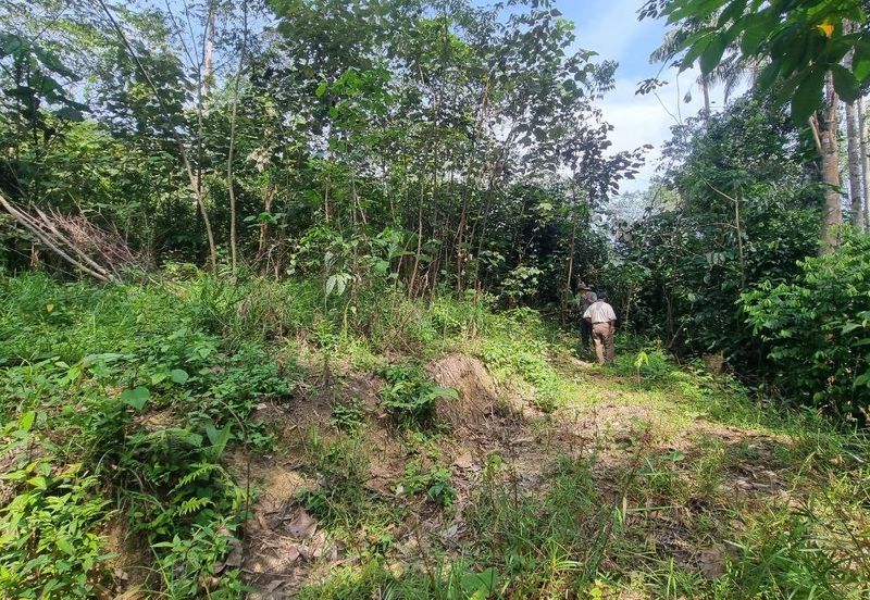 Kampung Kuala Perdek