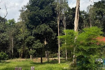Kampung Sungai Lui