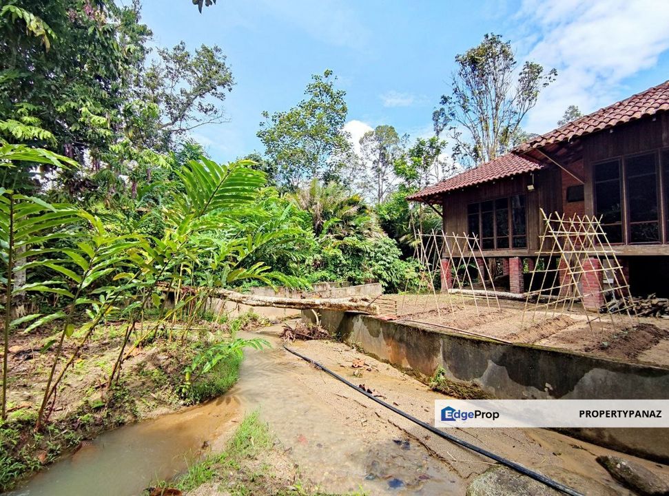 Agriculture Land Janda Baik , Pahang, Bentong