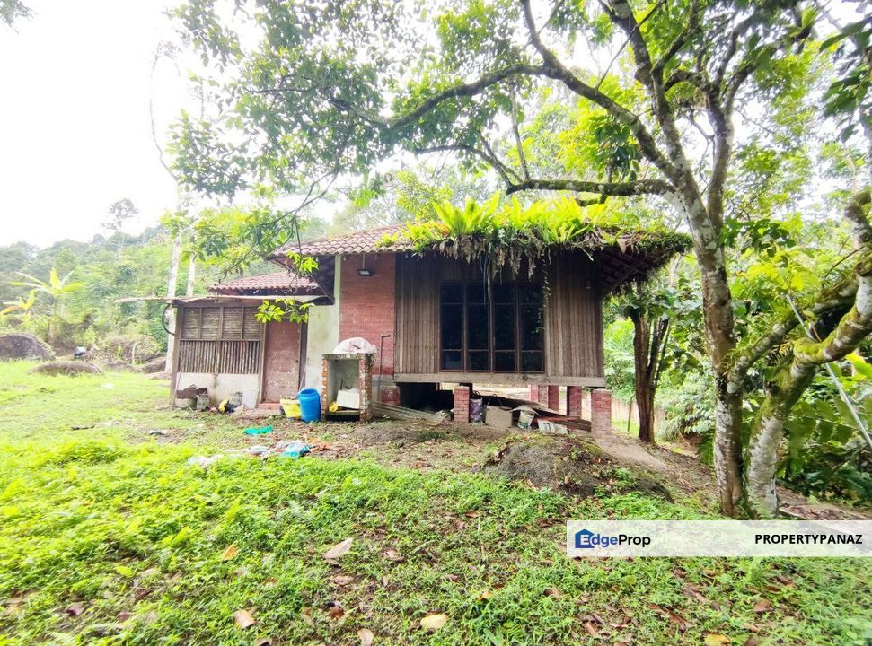 Agriculture Land Janda Baik , Pahang, Bentong