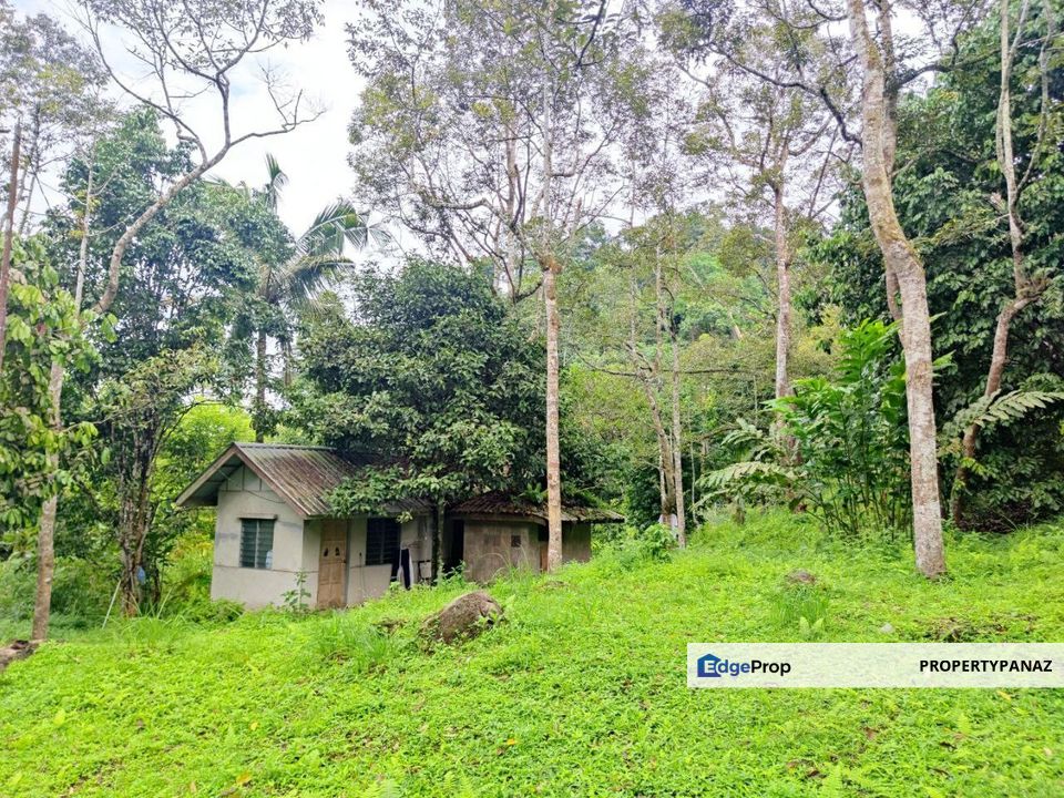 Agriculture Land Janda Baik , Pahang, Bentong