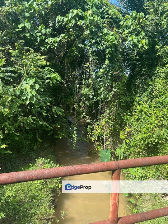Agricultural Land in Lenggeng Bdr Tasik Senangin Negeri Sembilan, Negeri Sembilan, Seremban