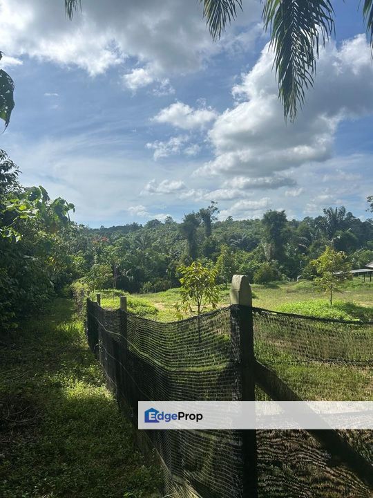 Agricultural Land in Lenggeng Bdr Tasik Senangin Negeri Sembilan, Negeri Sembilan, Seremban
