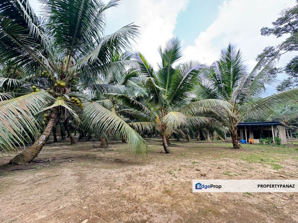 Agriculture Land Kampung Paya Lebar Jalan Sungai Lui , Selangor, Hulu Langat