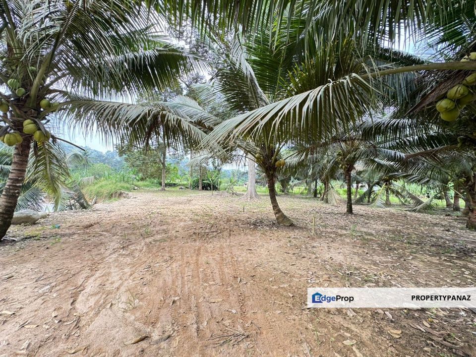 Agriculture Land Kampung Paya Lebar Jalan Sungai Lui , Selangor, Hulu Langat