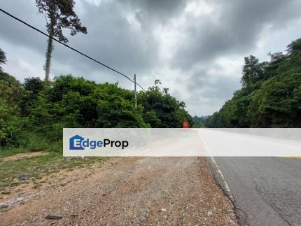 Land For Sale Tepi Jalan Utama KL-Kuantan Maran, Pahang, Pahang, Chenor