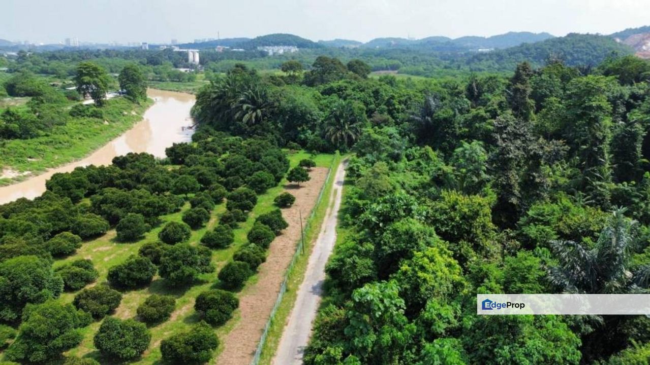 Land 8 Acre Sg Buah Dengkil Jenderam Sepang, Selangor, Sepang