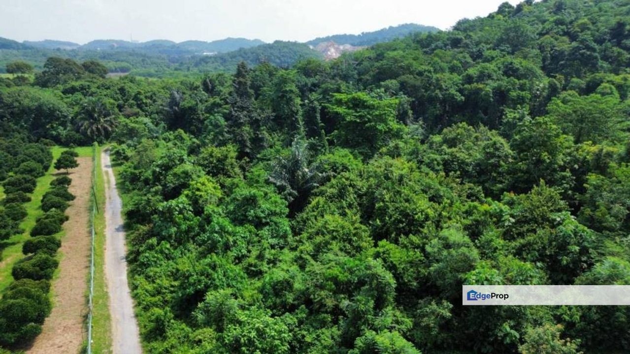 Land 8 Acre Sg Buah Dengkil Jenderam Sepang, Selangor, Sepang
