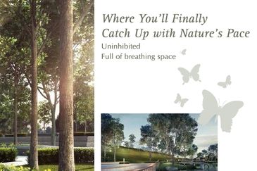 Ara Sendayan @ Bandar Seri Sendayan