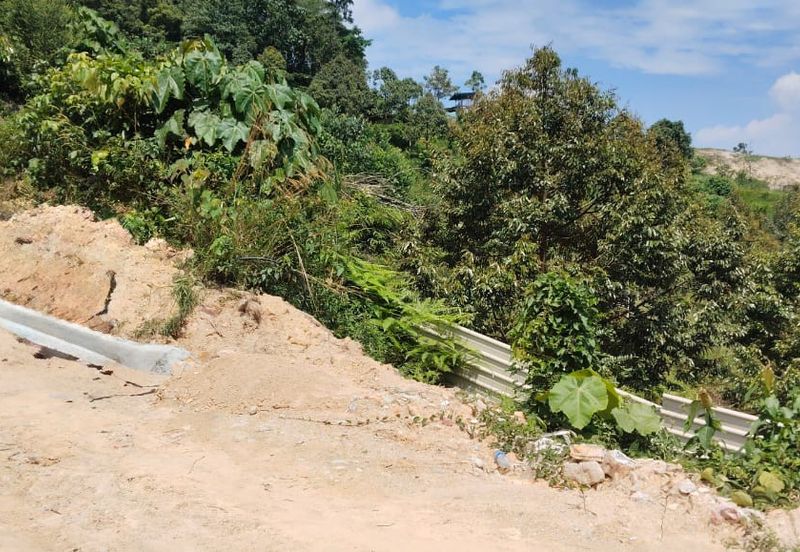 Agriculture Land Matured Durian Tree Fruit tree at Jelebu Pantai Sikamat Seremban