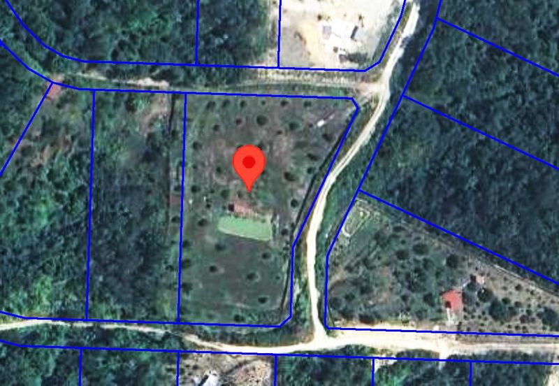 Agriculture Land Matured Durian Tree Fruit tree at Jelebu Pantai Sikamat Seremban